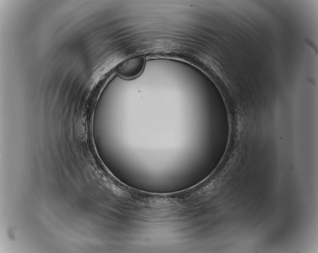 X0000102871018200808251236