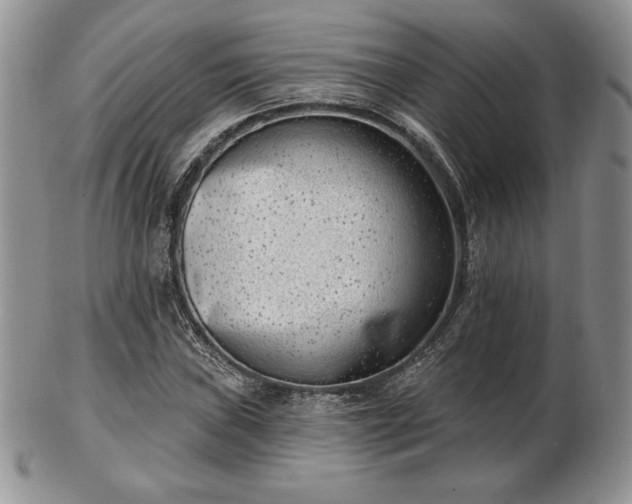 X0000102871019200808251236