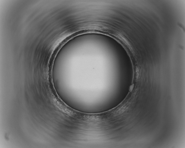 X0000102871020200808251236