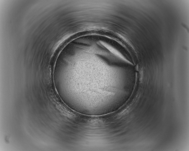 X0000102871021200808251236