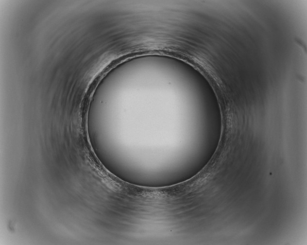 X0000102871023200808251236