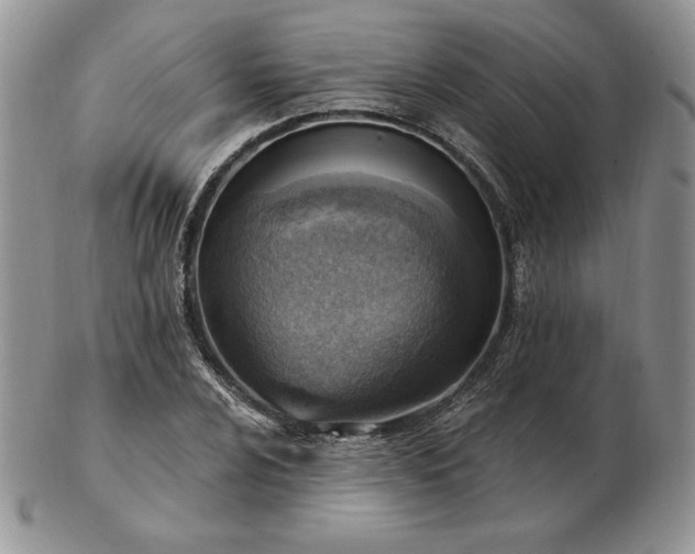 X0000102871024200808251236