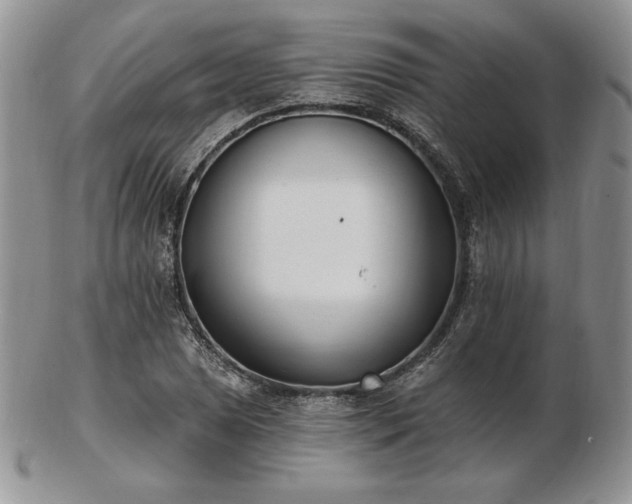 X0000102871025200808251236
