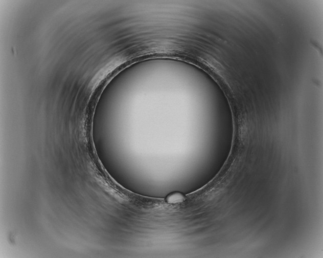 X0000102871026200808251236
