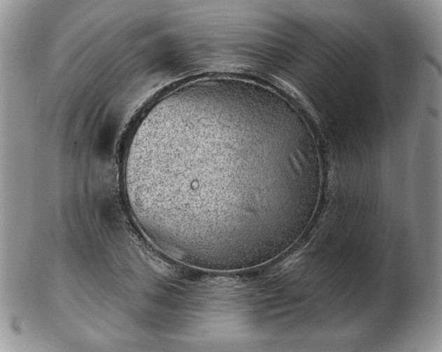 X0000102871027200808251236