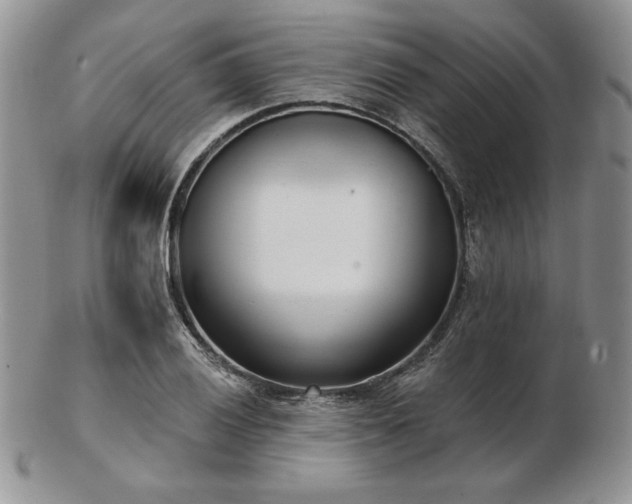 X0000102871028200808251236