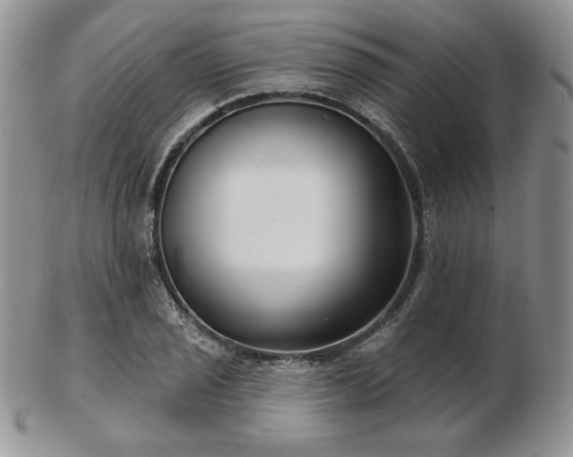 X0000102871029200808251236