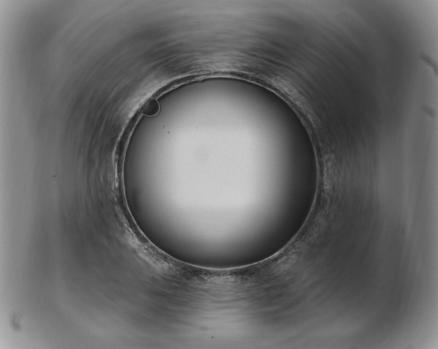 X0000102871031200808251236