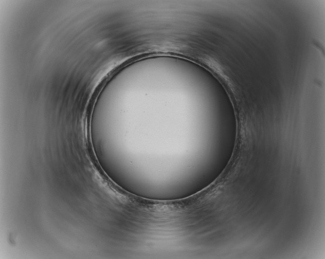 X0000102871032200808251236