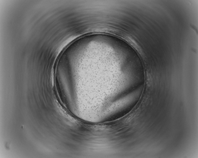 X0000102871036200808251236