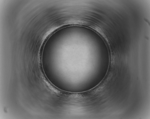 X0000102871037200808251236