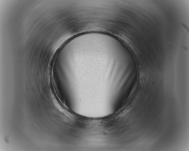 X0000102871038200808251236