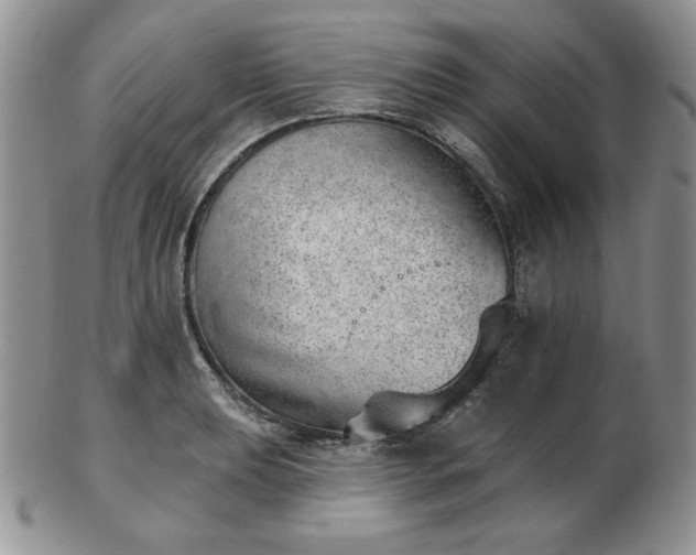 X0000102871039200808251236