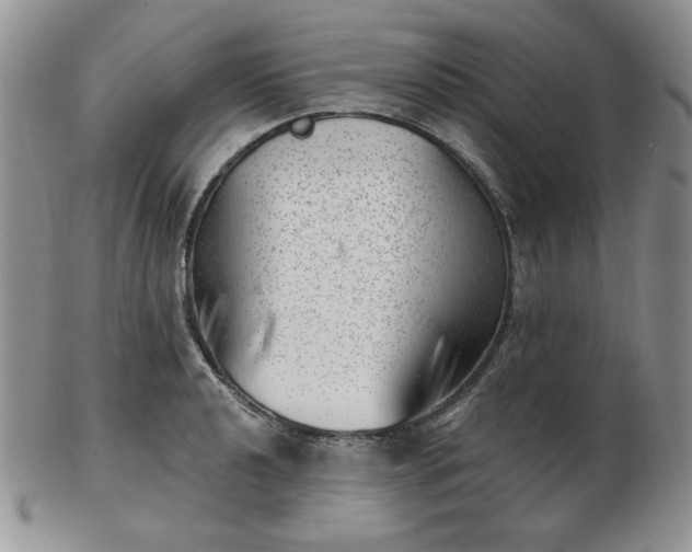 X0000102871040200808251236