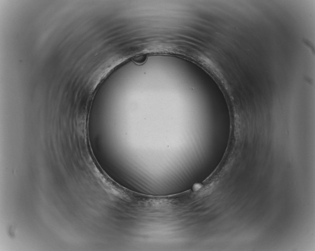X0000102871041200808251236
