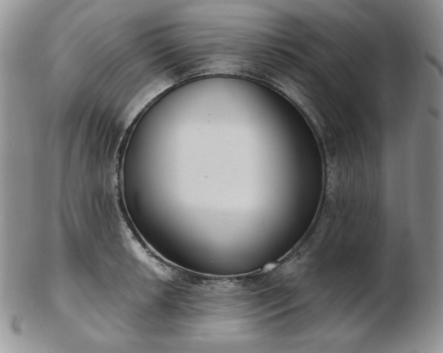 X0000102871042200808251236