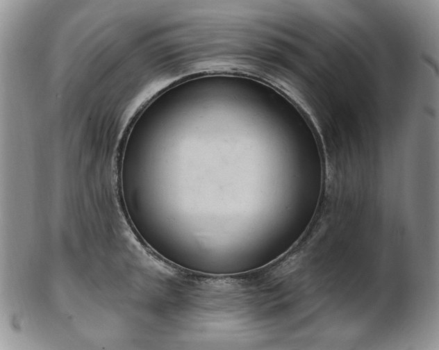 X0000102871045200808251236