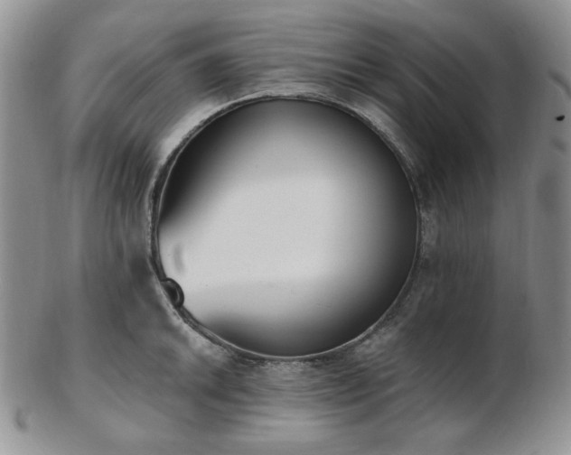 X0000102871046200808251237