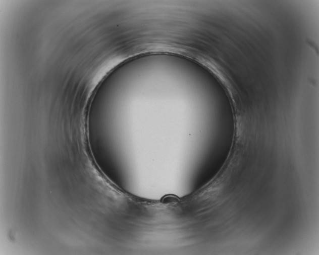 X0000102871048200808251237