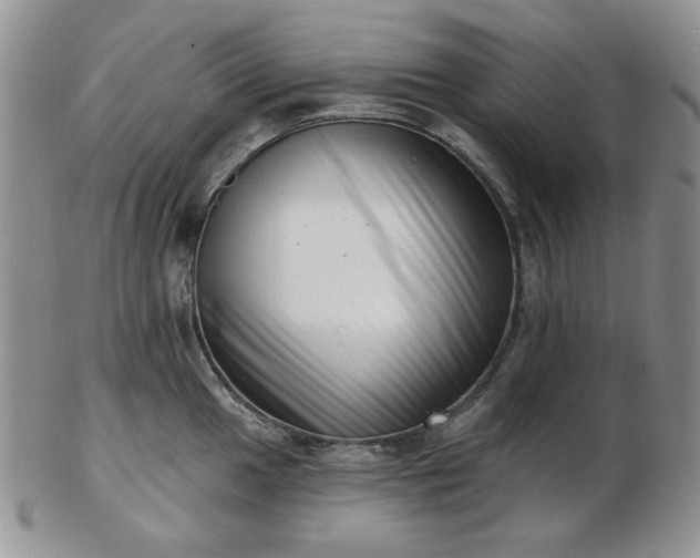 X0000102871049200808251237