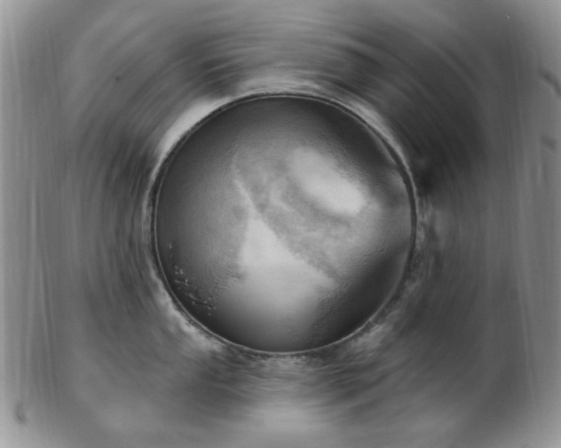 X0000102871053200808251237