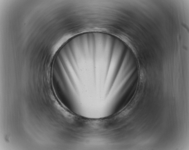 X0000102871054200808251237