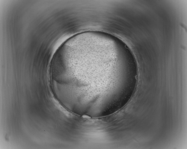 X0000102871056200808251237