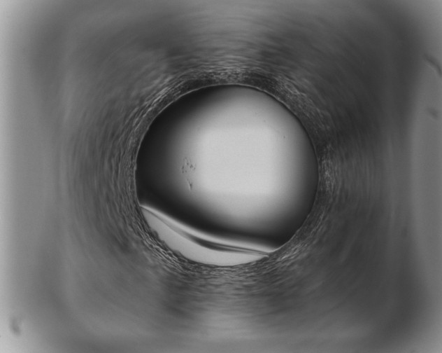 X0000102871057200808251236