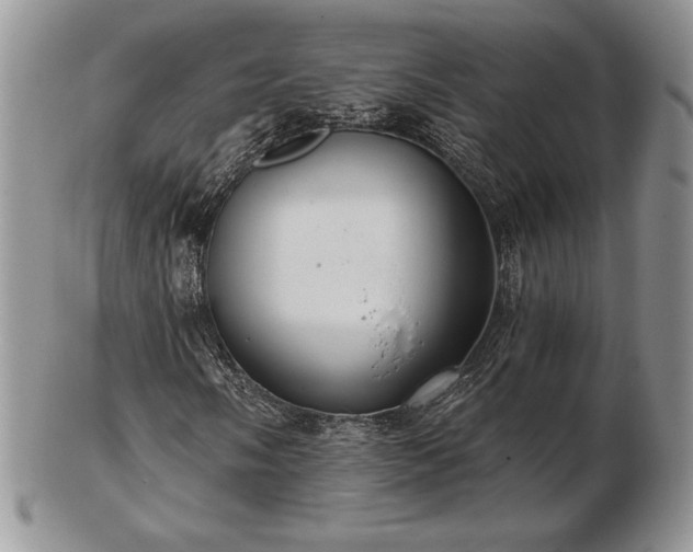 X0000102871058200808251236