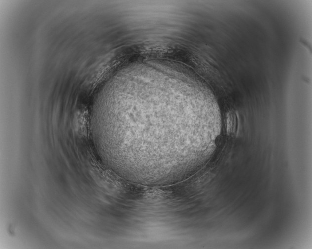 X0000102871059200808251236