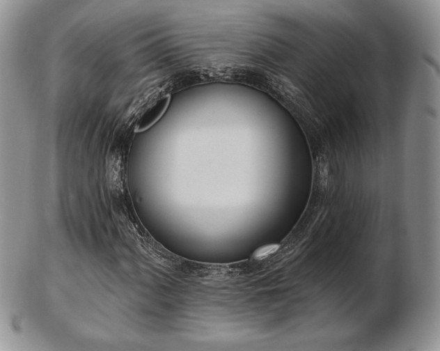 X0000102871060200808251236