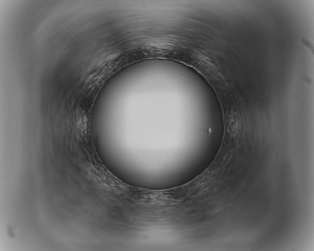 X0000102871061200808251236