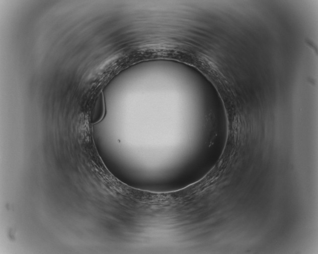 X0000102871062200808251236