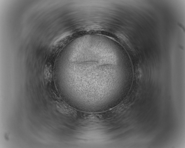 X0000102871063200808251236