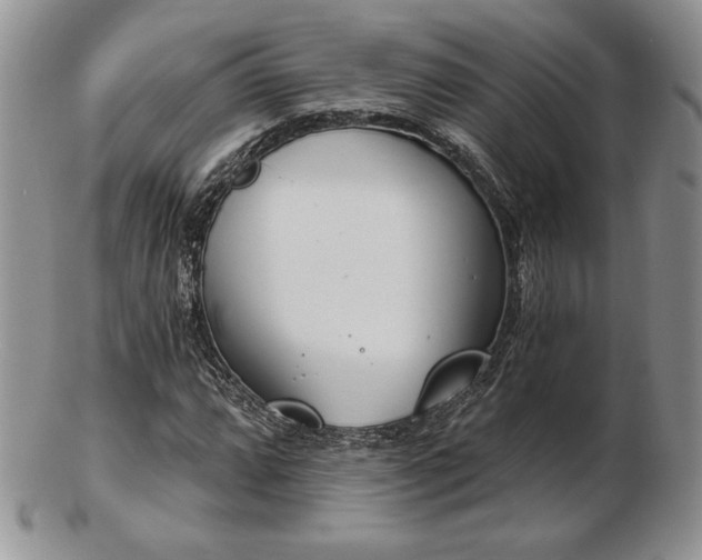 X0000102871064200808251236