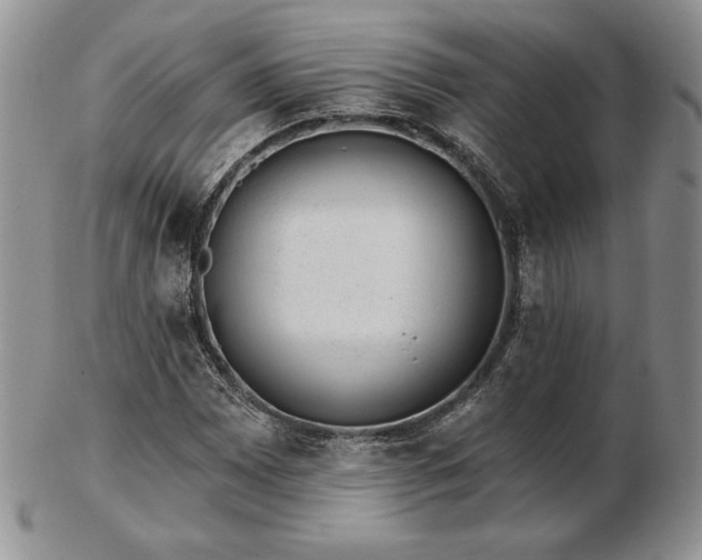 X0000102871065200808251236