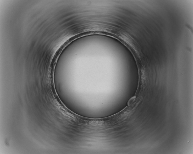 X0000102871068200808251236