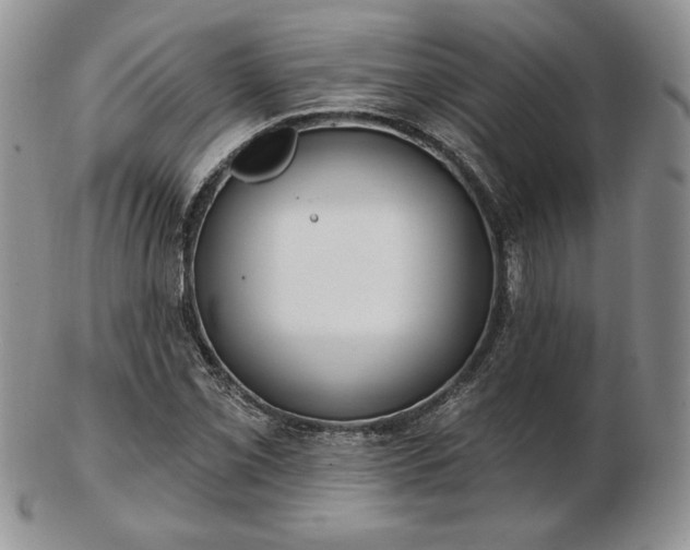 X0000102871069200808251236