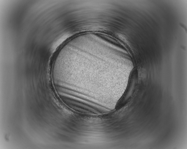 X0000102871071200808251236