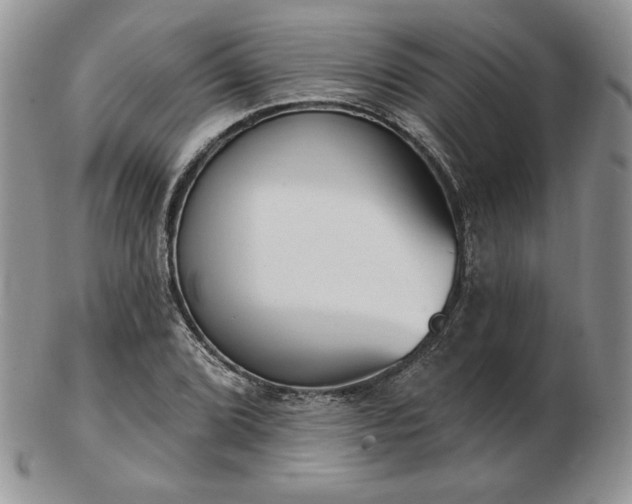 X0000102871072200808251236