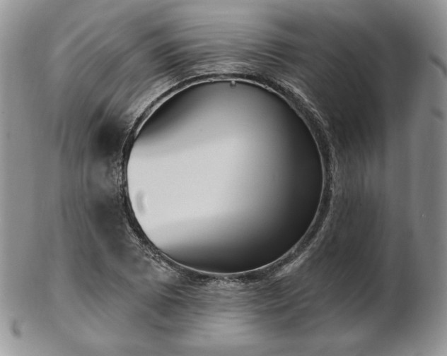 X0000102871073200808251236