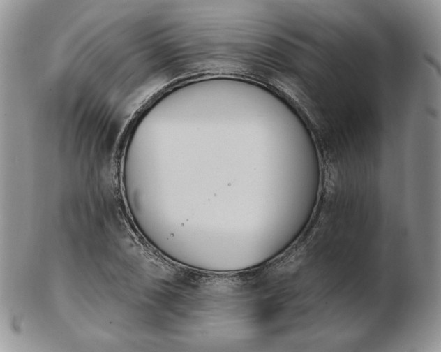 X0000102871074200808251236