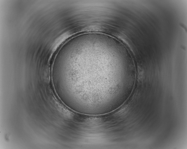 X0000102871075200808251236