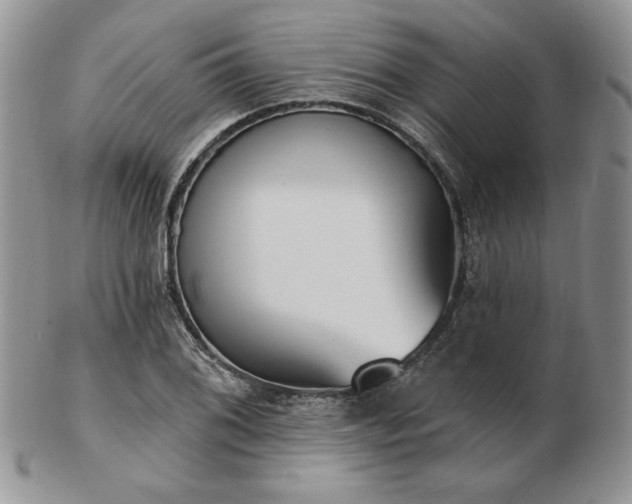 X0000102871076200808251236