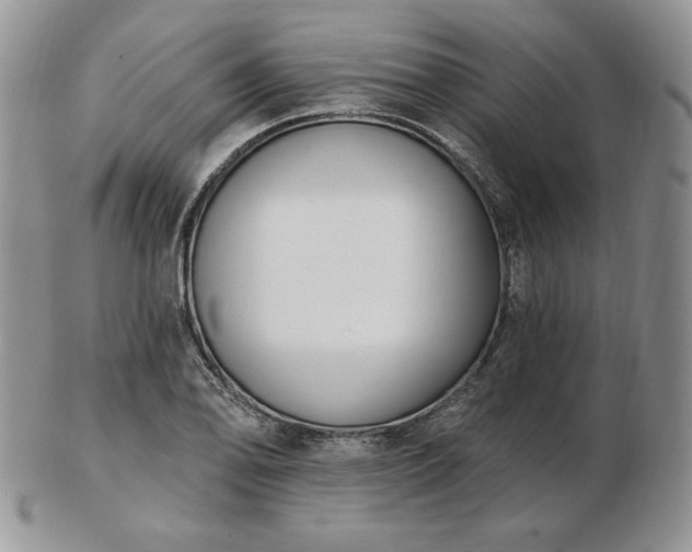 X0000102871078200808251236