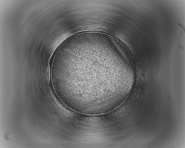 X0000102871079200808251236