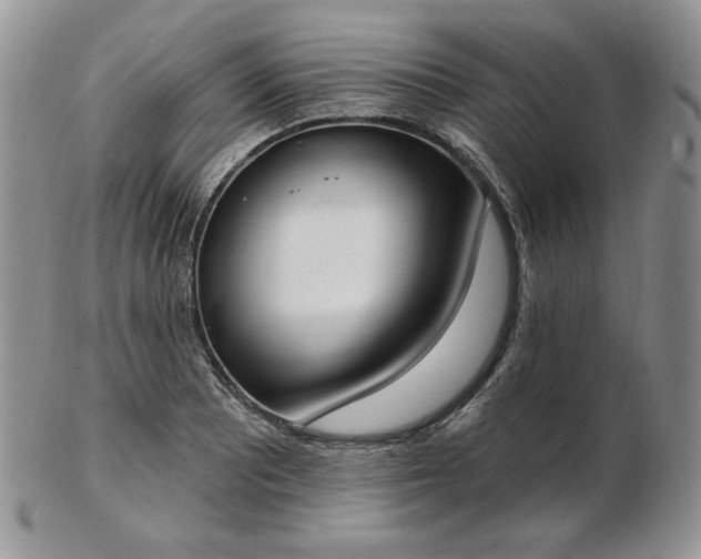 X0000102871081200808251236
