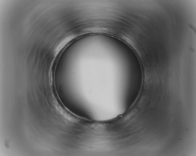 X0000102871082200808251236