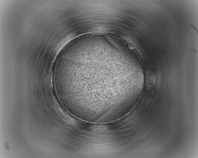 X0000102871083200808251236