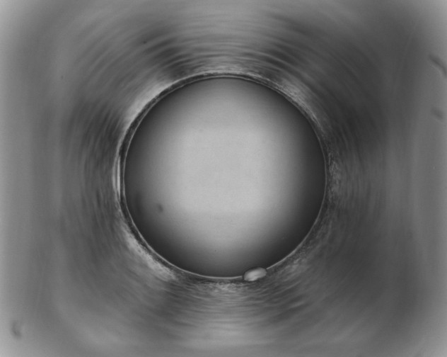 X0000102871084200808251235